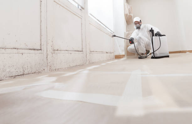 24/7 Emergency Mold Cleanup experts in Florence, CO